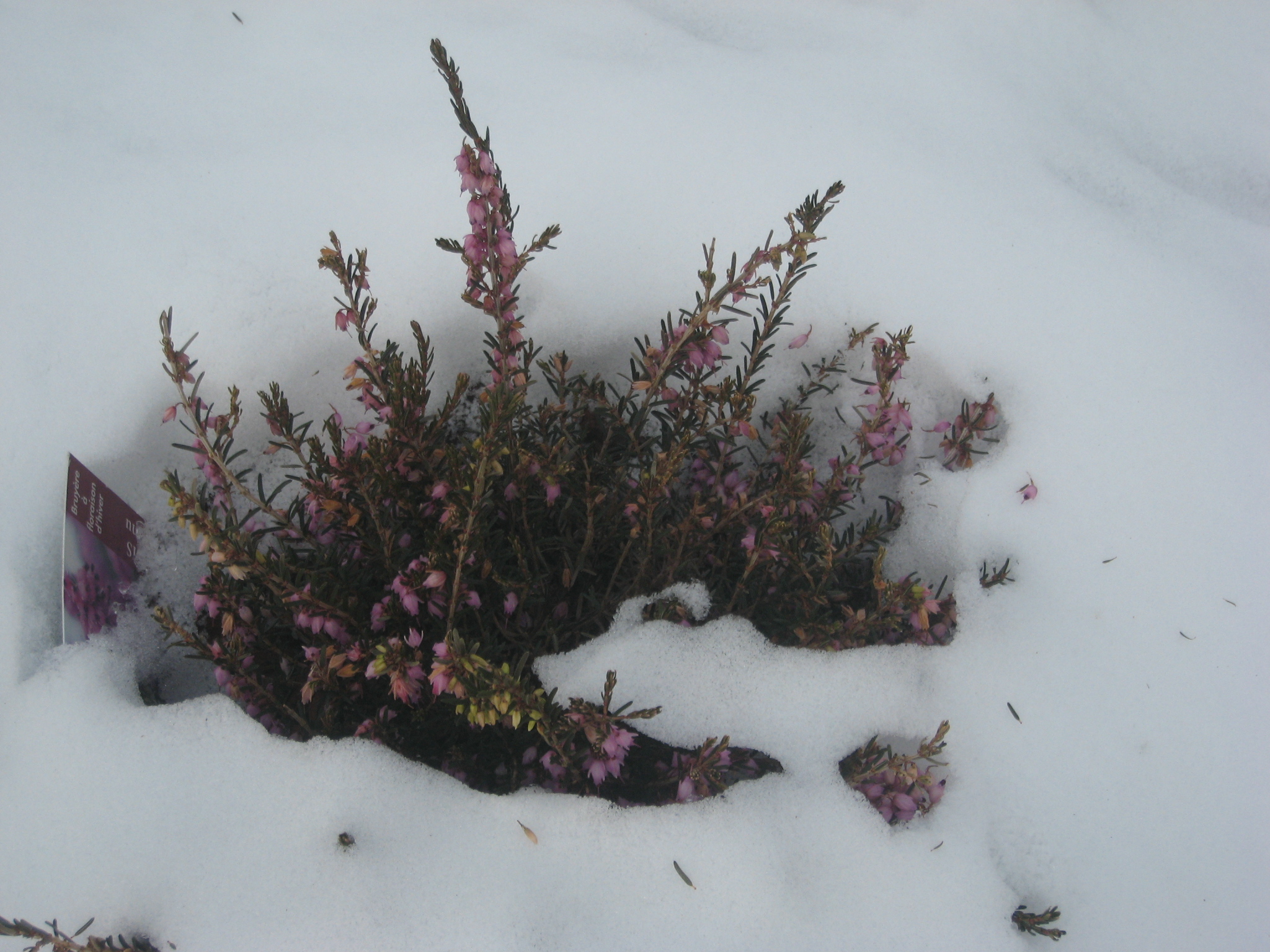 Vendredi 10 Février 2012