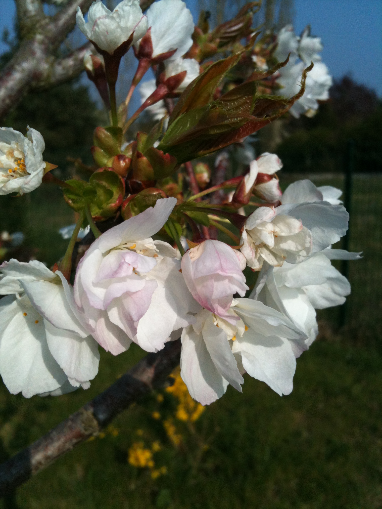 Vendredi 30 Mars 2012