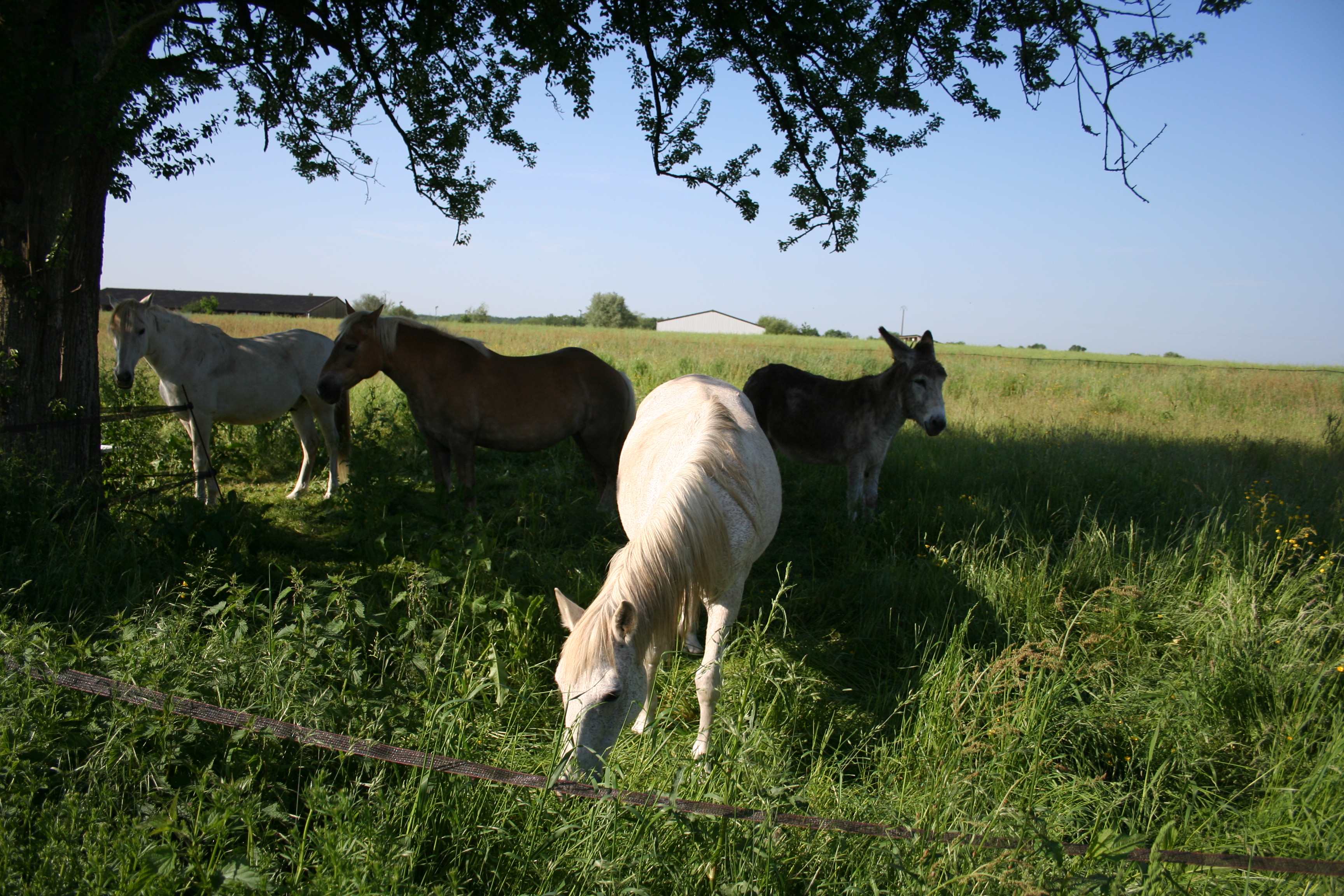 Vendredi 25 mai 2012