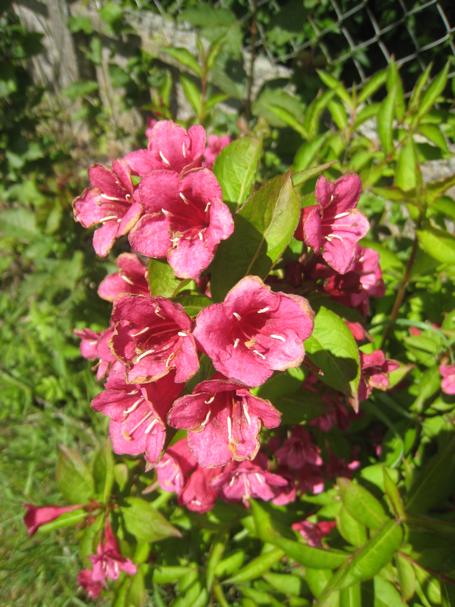 Vendredi 15 Juin 2012