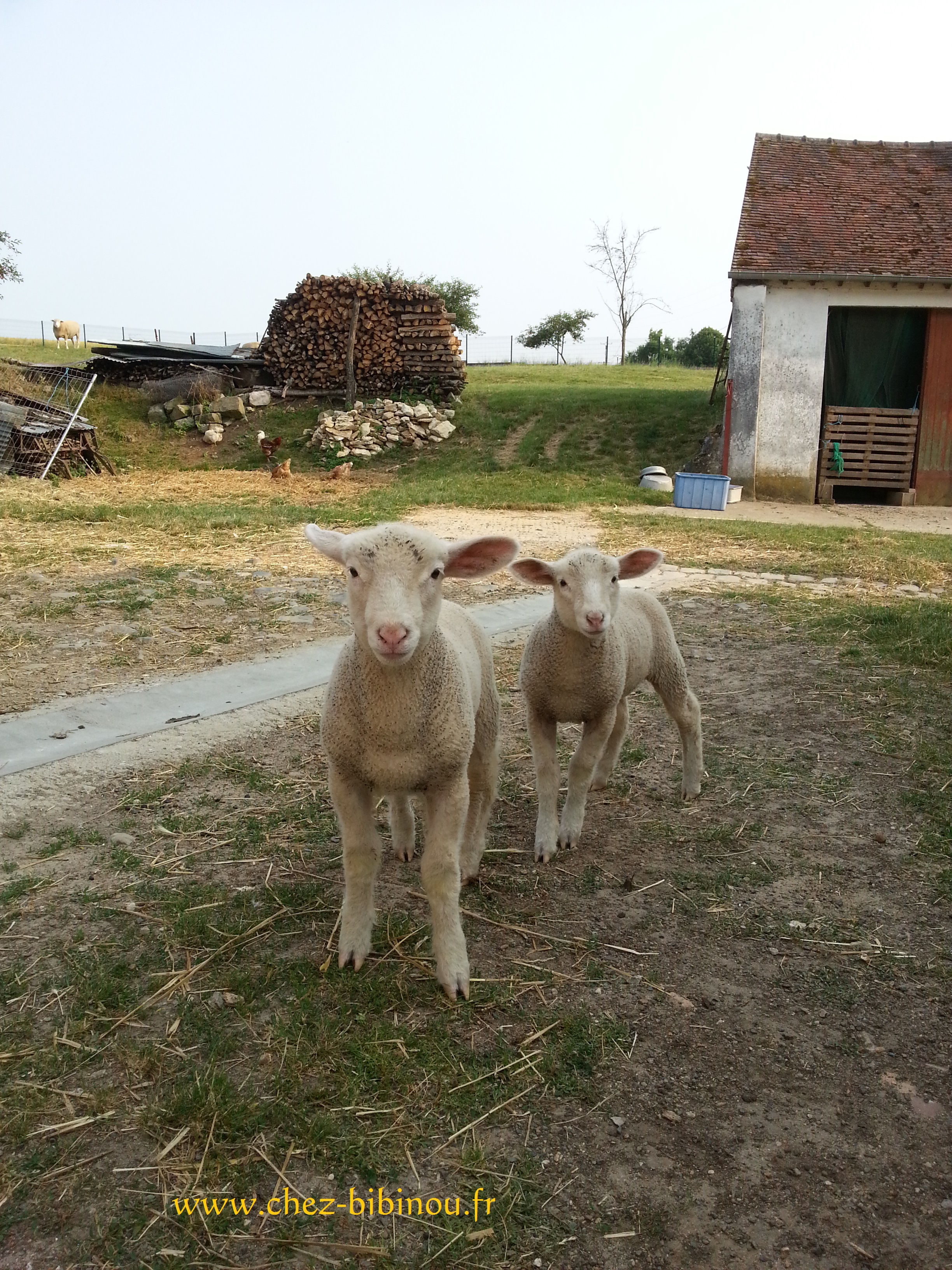 Jeudi 11 juillet 2013