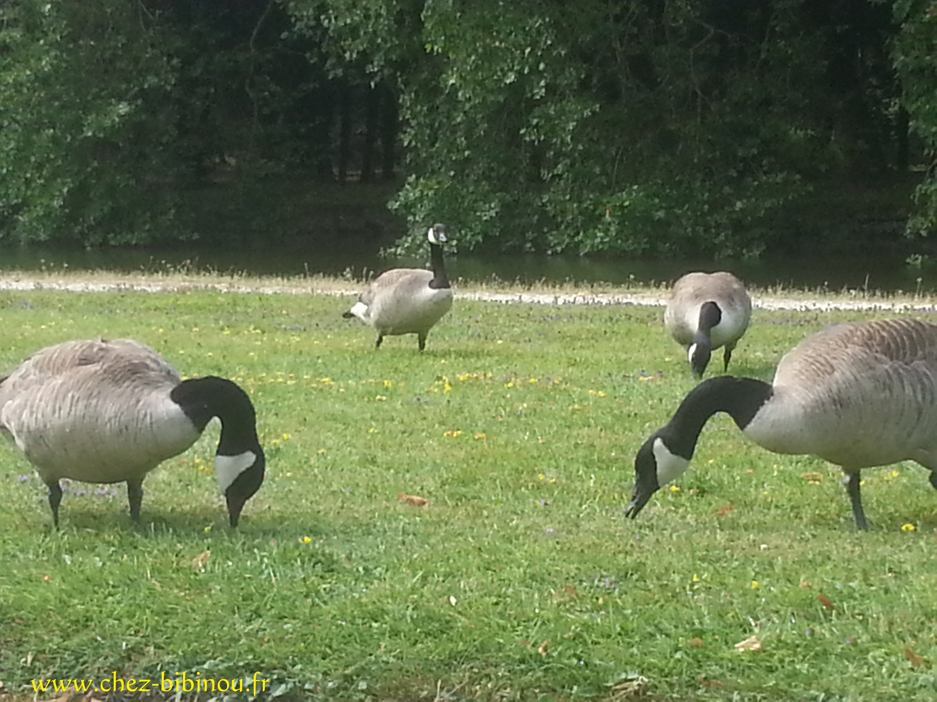 Mercredi 24 Juillet 2013