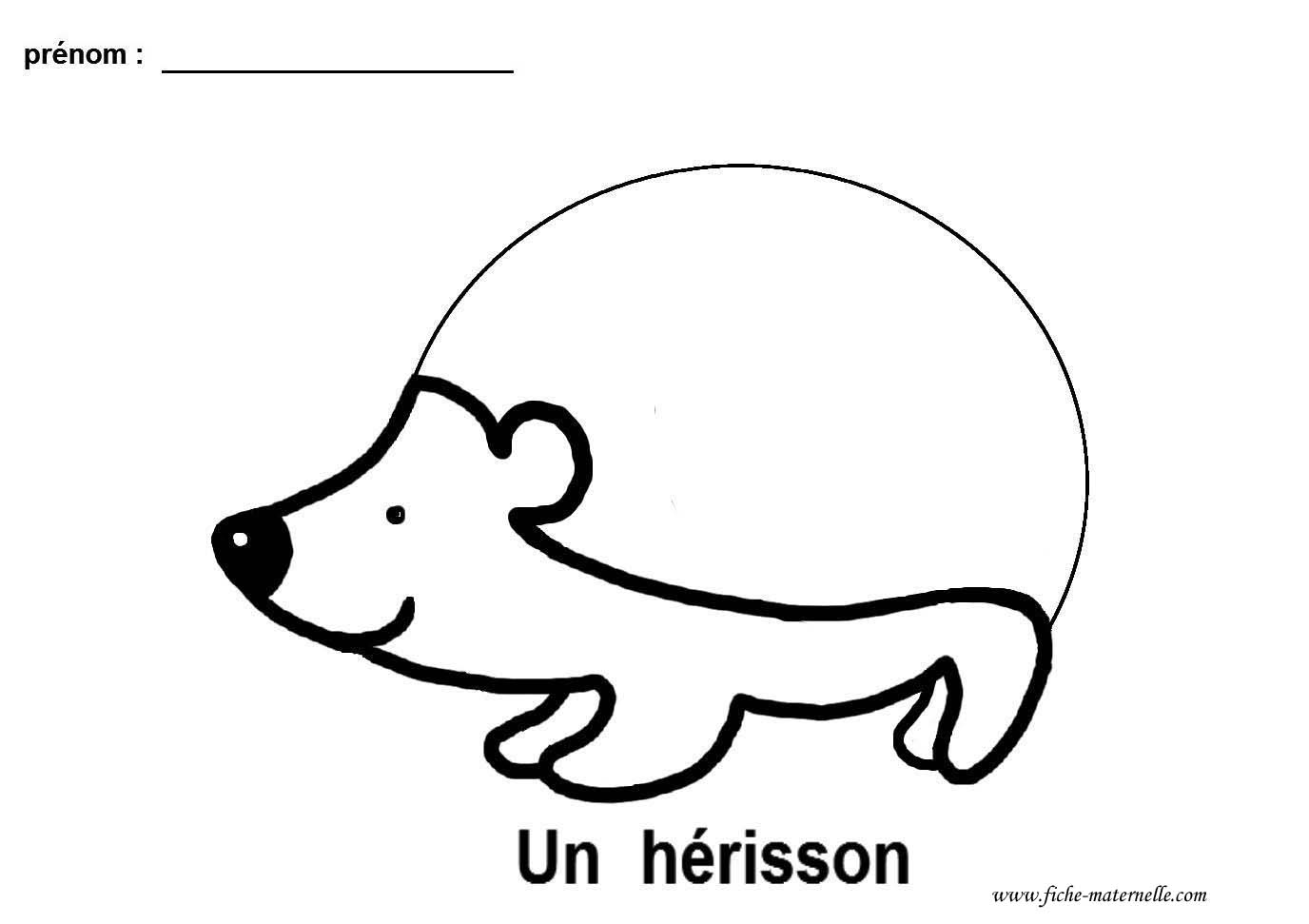 Hérisson et graphisme