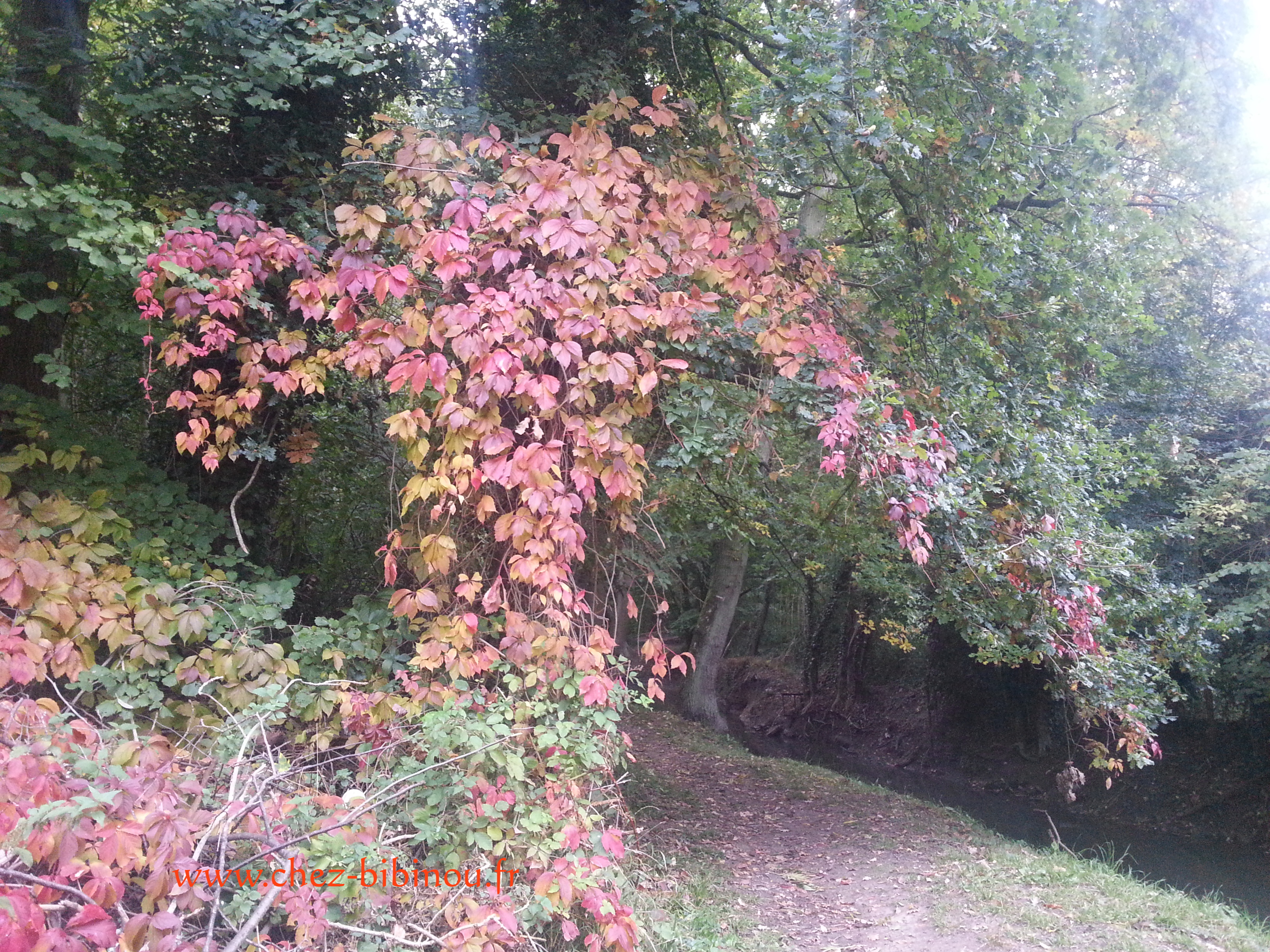 Lundi sous la pluie