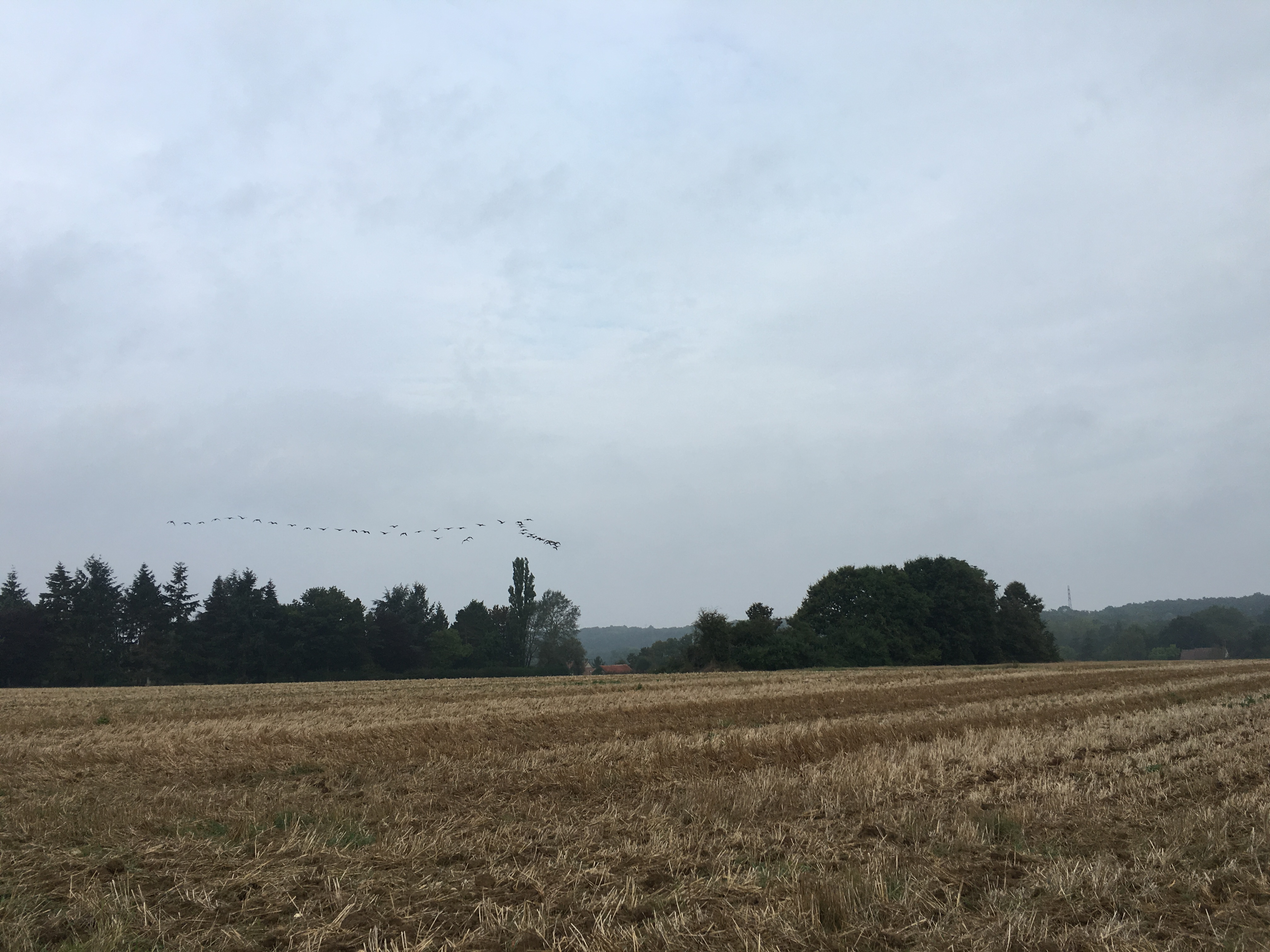 Lundi 19 et mardi 20 septembre