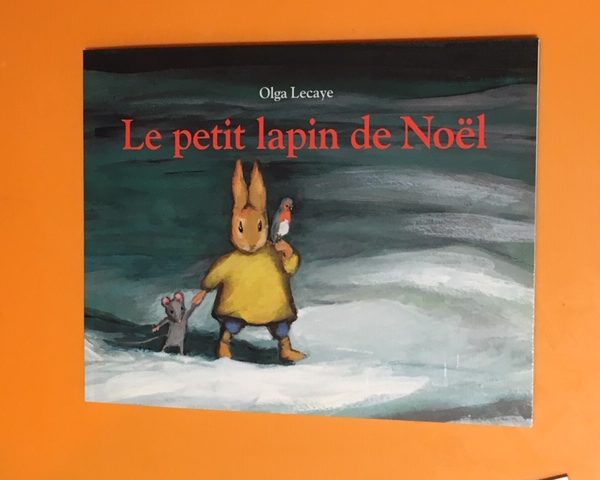 Le petit lapin de Noël