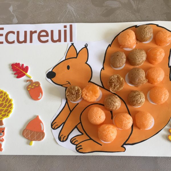 Ecureuil gourmand