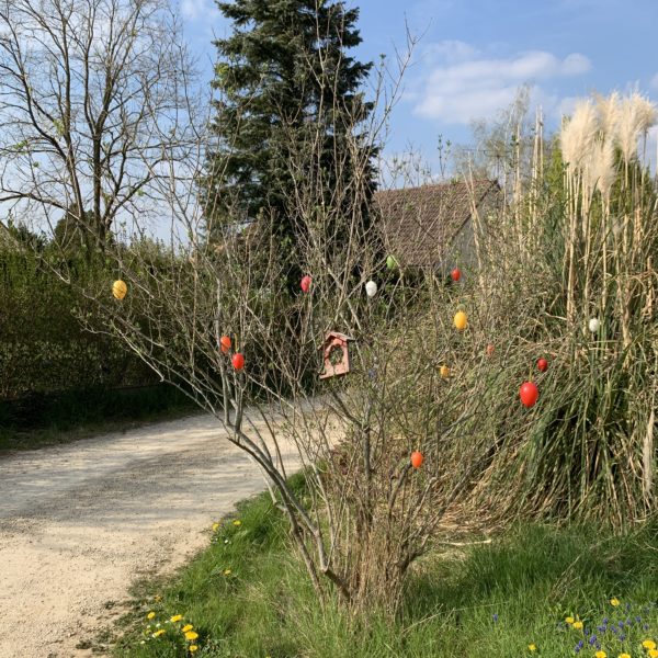 Arbres de Pâques